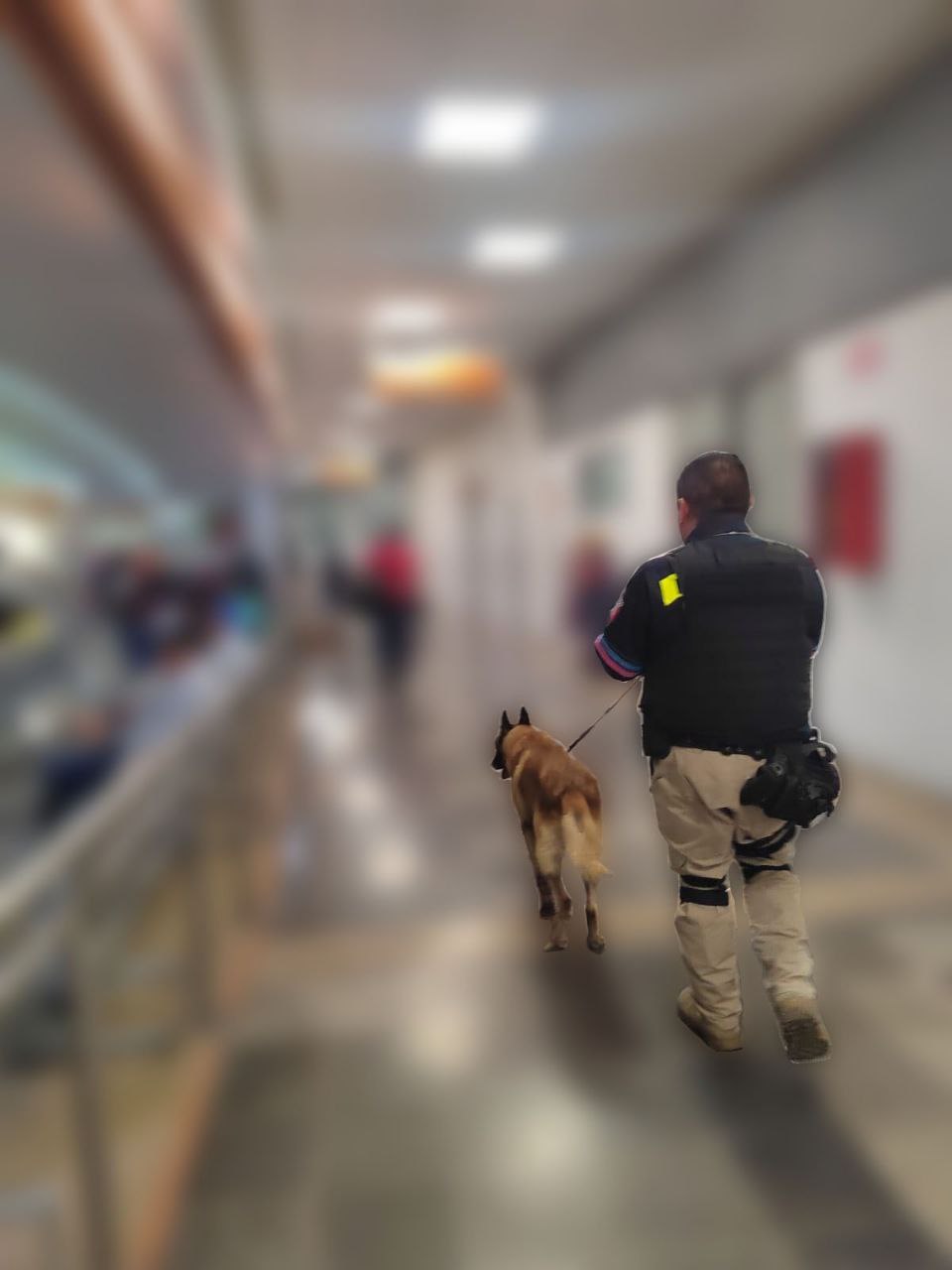 El grupo de k9 en Puebla realizó un decomiso de 40 kilos de posible droga